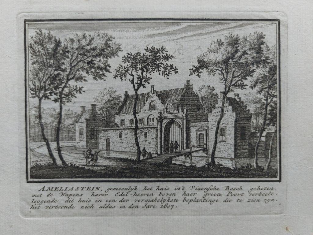 256 / Huis Viaensebos - Viaansebos te Vianen, Antiek en Kunst, Ophalen of Verzenden