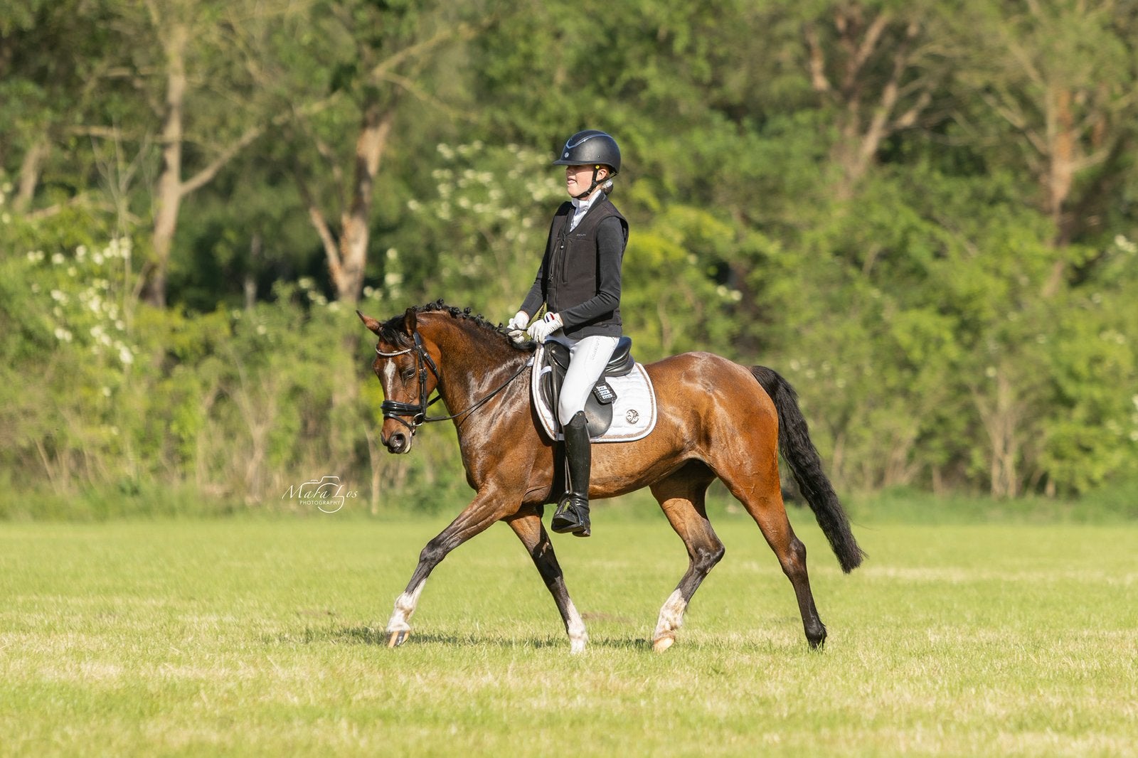 Sjieke C pony merrie welsh stamboek, Dieren en Toebehoren, Pony's, Merrie, Springpony, C pony (1.27m tot 1.37m), 7 tot 10 jaar