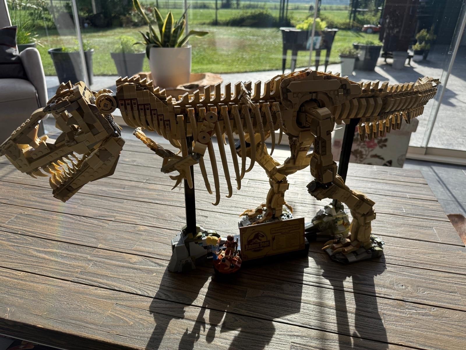LEGO Ideas 21320 Dinosaurusfossielen T-Rex Skelet, Ophalen, Zo goed als nieuw, Overige merken