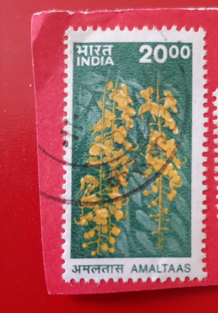 India boom Amaltas-boom, Verzenden, Gestempeld, Oost-Azië