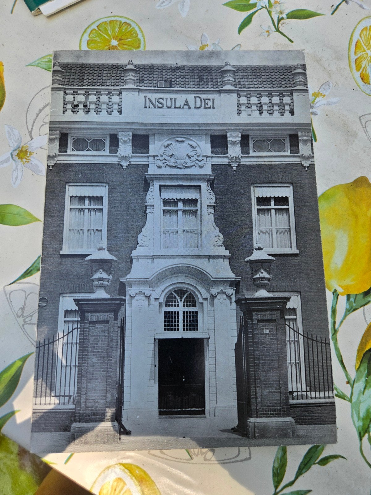 Boekje 100 jaar Insula Dei Arnhem uit 1963, Ophalen of Verzenden, 20e eeuw of later, Zo goed als nieuw