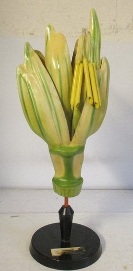 oud botanisch model tarwe Osterloh 17A, Antiek en Kunst, Curiosa en Brocante, Verzenden