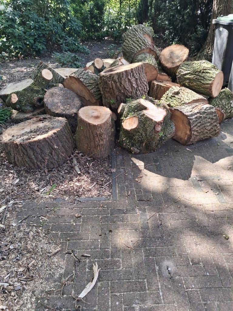 Brandhout te koop. Treurwilg., 3 tot 6 m³, Ophalen, Overige houtsoorten, Blokken