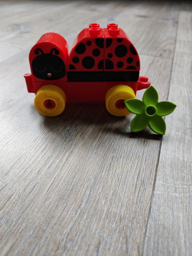 Lego Duplo lieveheersbeestje met bloem, Ophalen, Zo goed als nieuw, Compleet, Duplo