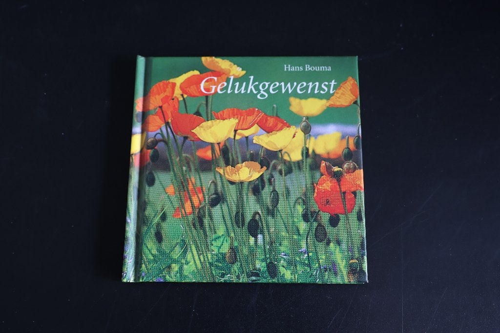Gelukgewenst door Hans Bouma ISBN 9052224595, Boeken, Ophalen of Verzenden, Zo goed als nieuw, Hans Bouma