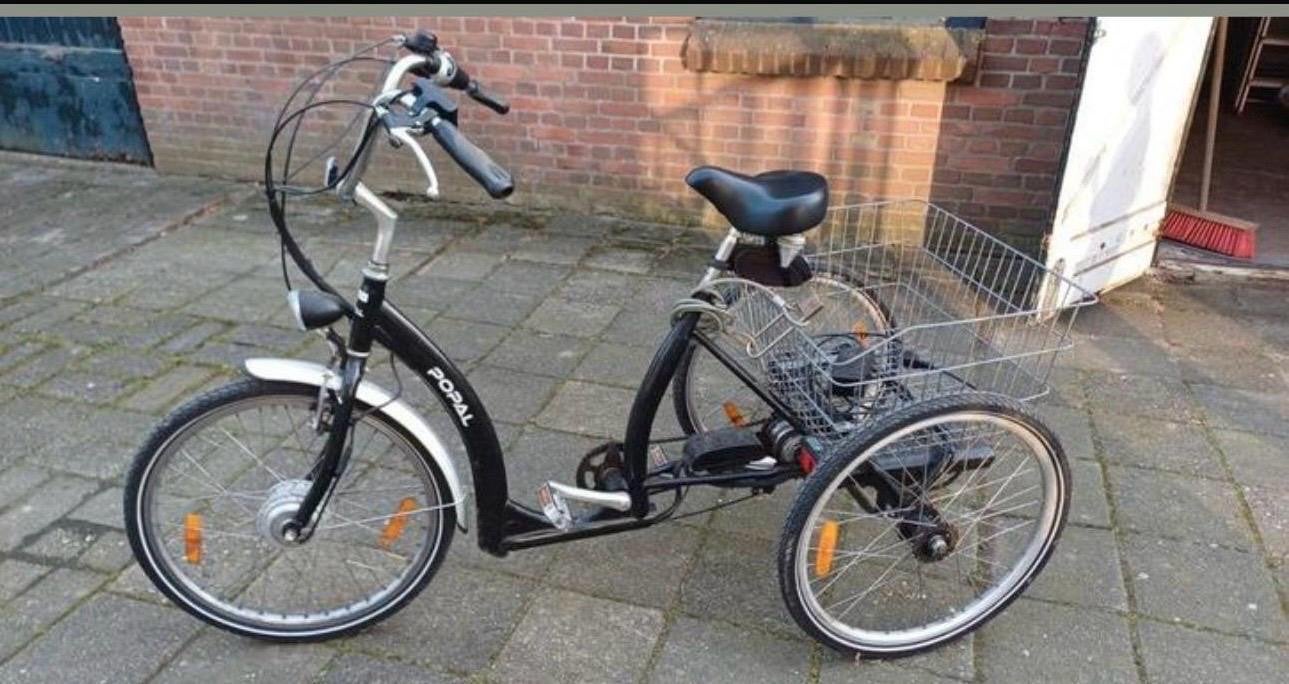 Elektrische driewieler met accu en oplader, Ophalen of Verzenden, Gebruikt