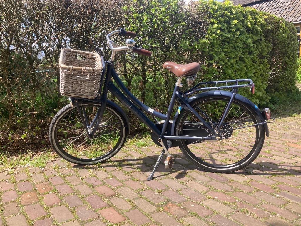 Cortina U4 meisjesfiets, Ophalen, Terugtraprem, Cortina U4 transportfiets, Versnellingen