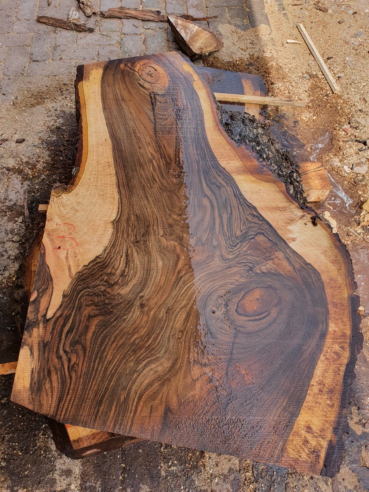 Brede Noten schaaldelen, Nieuw, Ophalen of Verzenden, Plank, 50 mm of meer