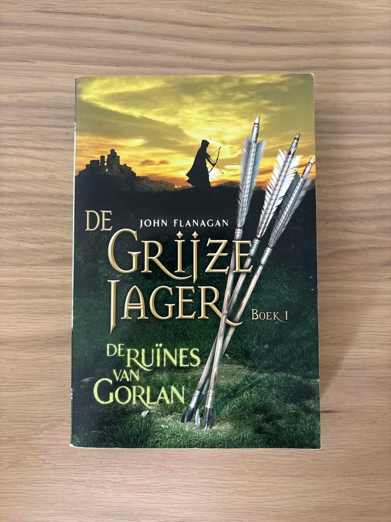 De Grijze Jager - Boek 1 (Goede staat), Boeken, Kinderboeken | Jeugd | 10 tot 12 jaar, Ophalen of Verzenden, Zo goed als nieuw