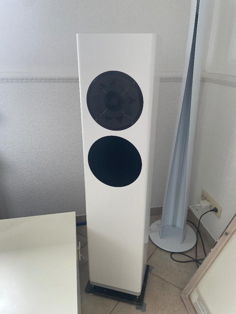 Manger P1 zo goed als nieuw, Audio, Tv en Foto, Luidsprekers, Zo goed als nieuw, 120 watt of meer, Front, Rear of Stereo speakers