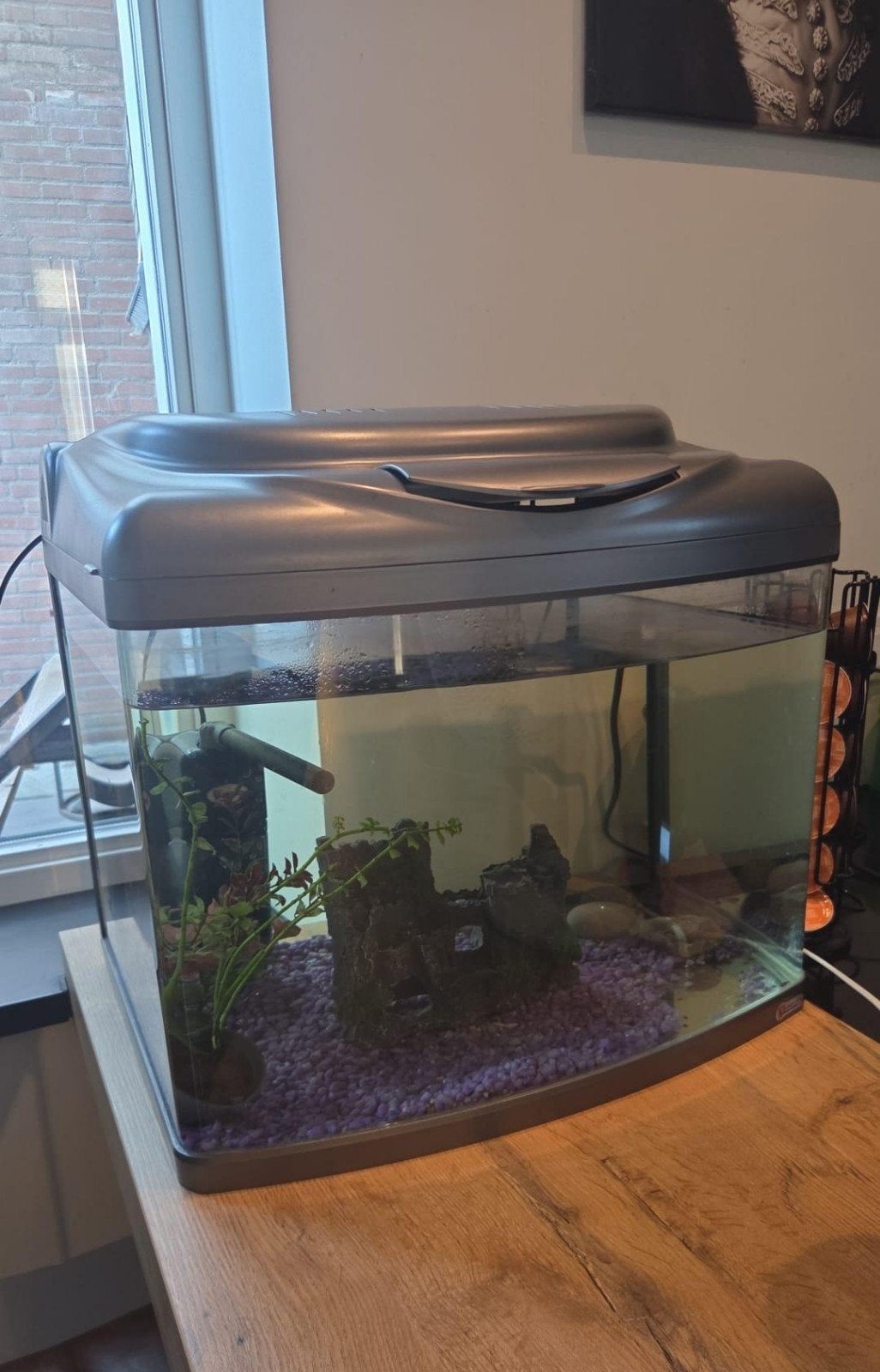 aquarium superfish model aqua 60, Dieren en Toebehoren, Vissen | Aquaria en Toebehoren, Ophalen, Zo goed als nieuw, Leeg aquarium