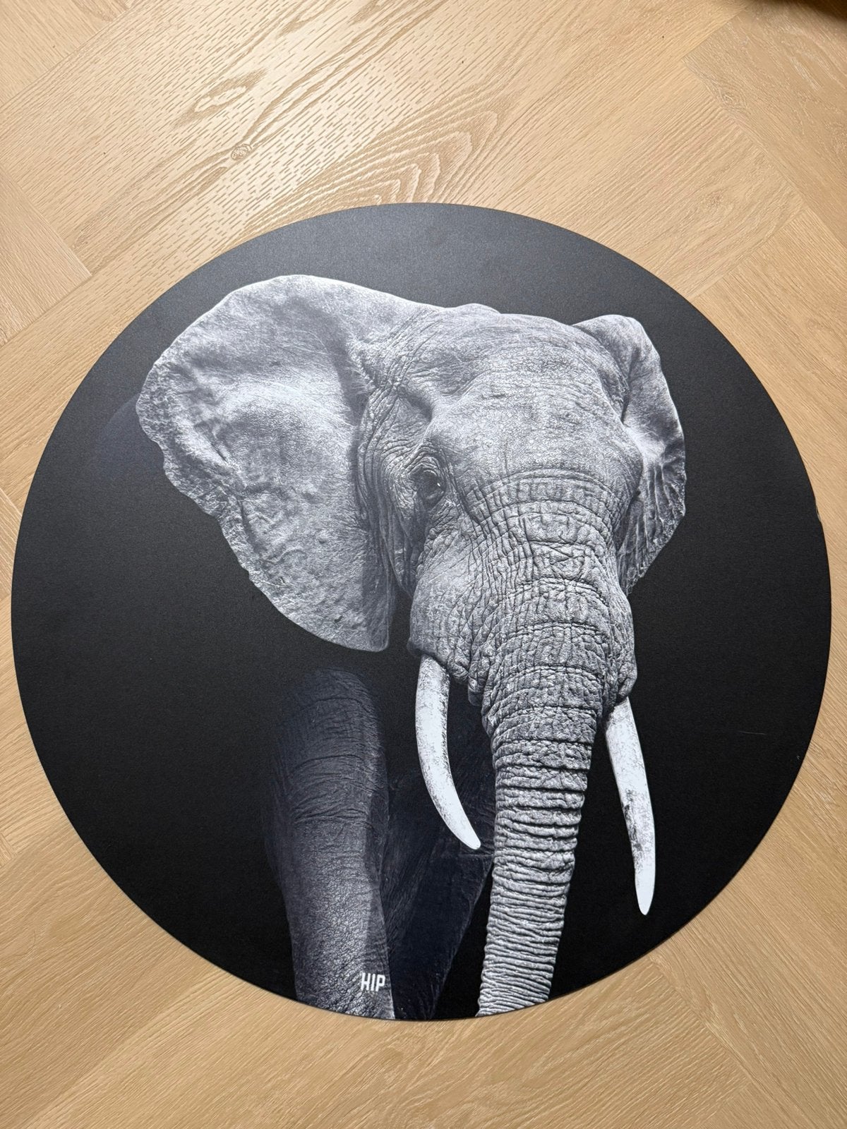 Rond schilderij olifant gratis ophalen, Ophalen, Zo goed als nieuw, Schilderij