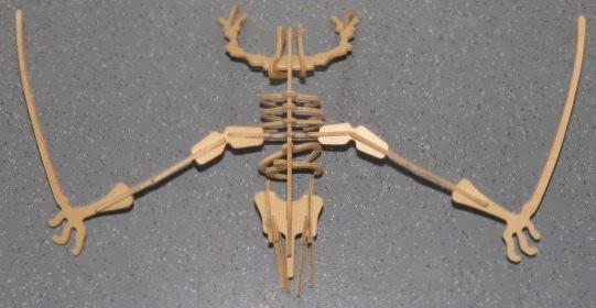 Bouwpakket dinosaurus, Ophalen of Verzenden, Zo goed als nieuw, Knutselen