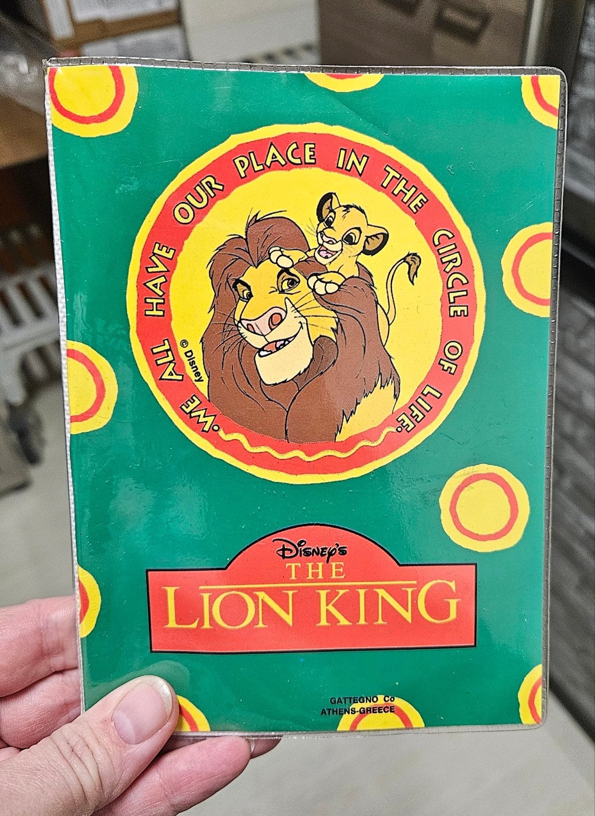 Klein fotoboekje The Lion King - Simba en Mufasa gratis, Ophalen, Gebruikt, Thema-album, Groen