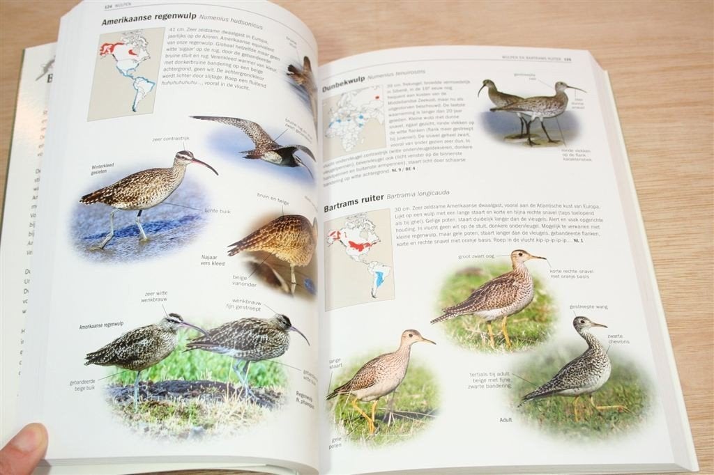 Zeldzame Vogels van Europa — Determinatiegids Dwaalgasten, Ophalen of Verzenden, Zo goed als nieuw, Vogels