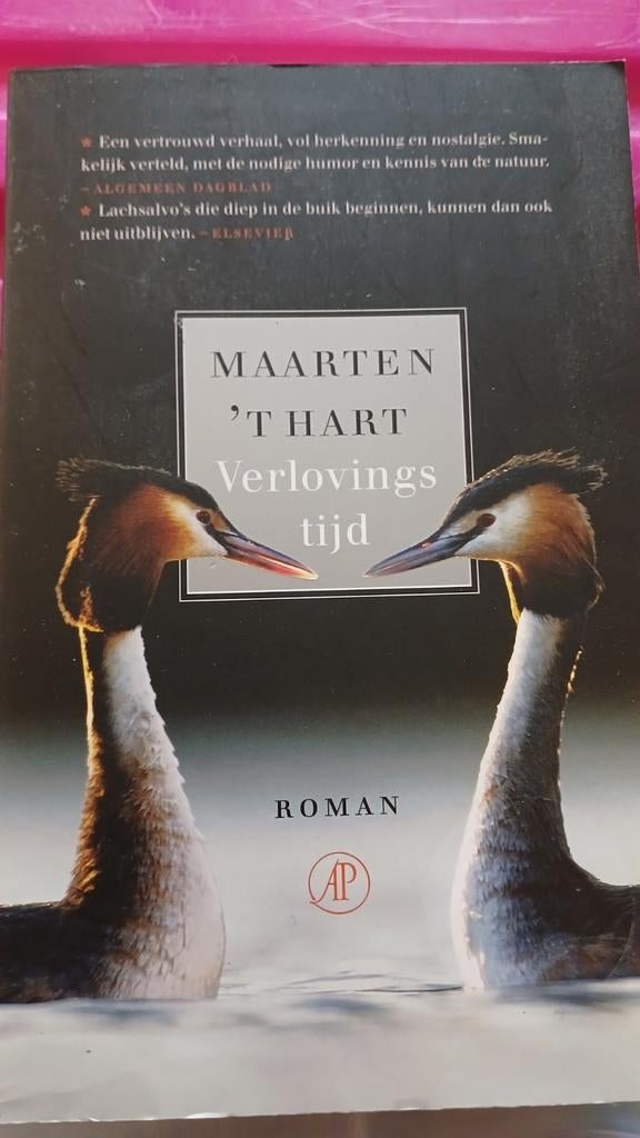 Maarten 't Hart - Verlovingstijd, Ophalen of Verzenden, Zo goed als nieuw, Maarten 't Hart