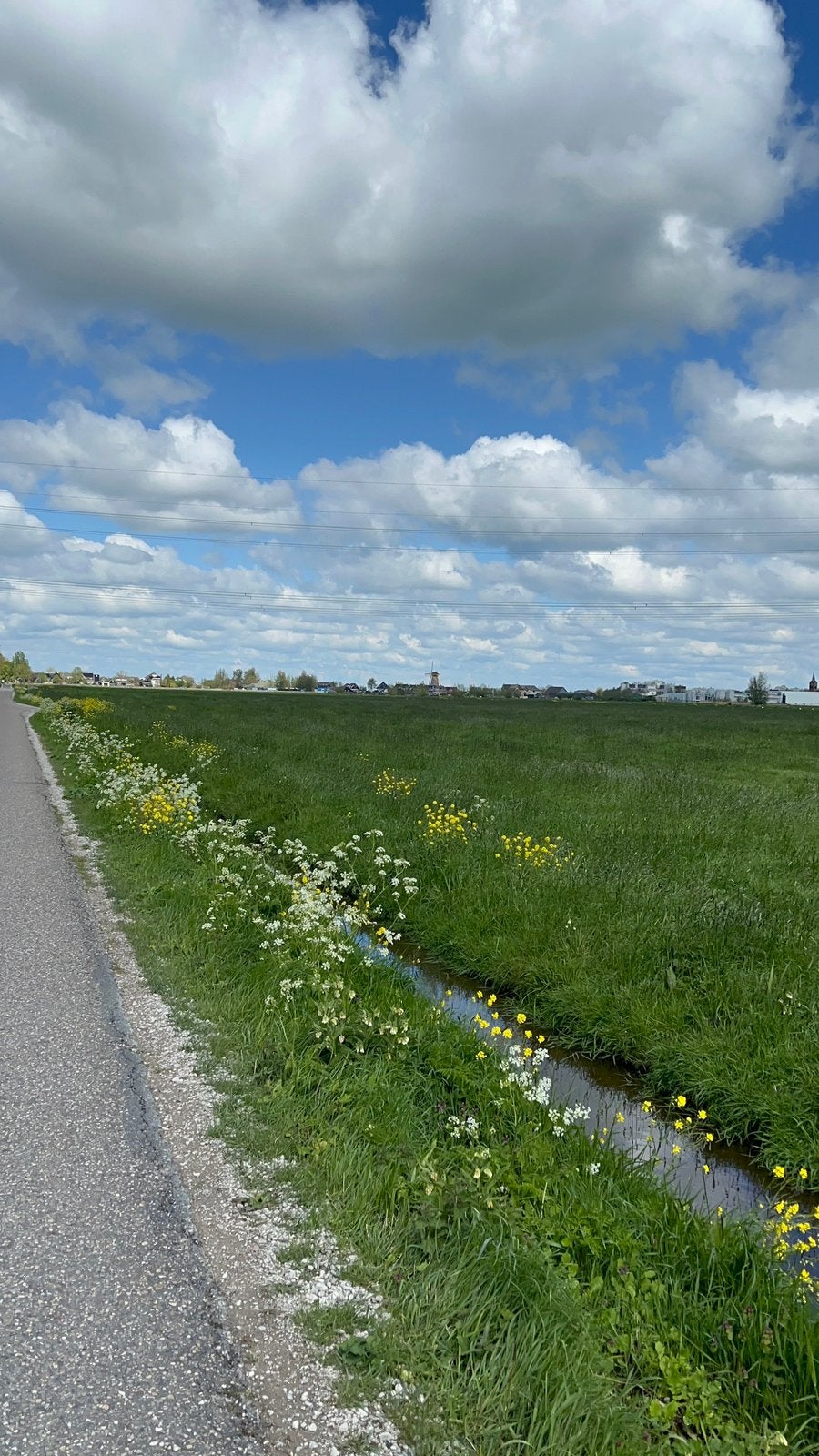 Gezocht: opknap paard/project paard