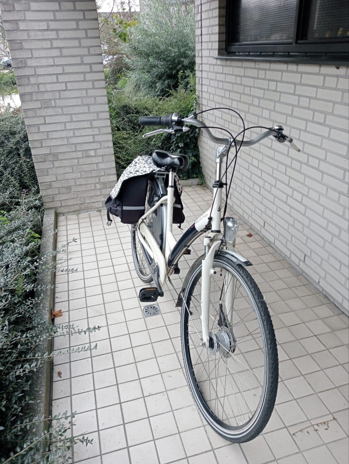 Sparta Marathon damesfiets met lage instap, Ophalen, Sparta, Velgrem, (Extra) lage instap