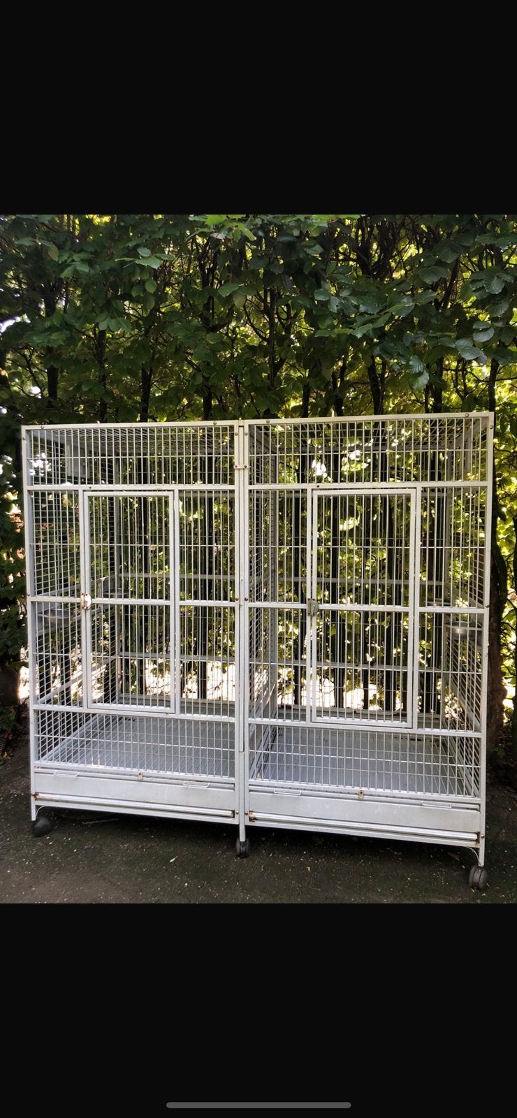 Papegaaienkooi Amalia -  - Afmetingen: 200 x 100 x 190 cm., Mannelijk, Papegaai