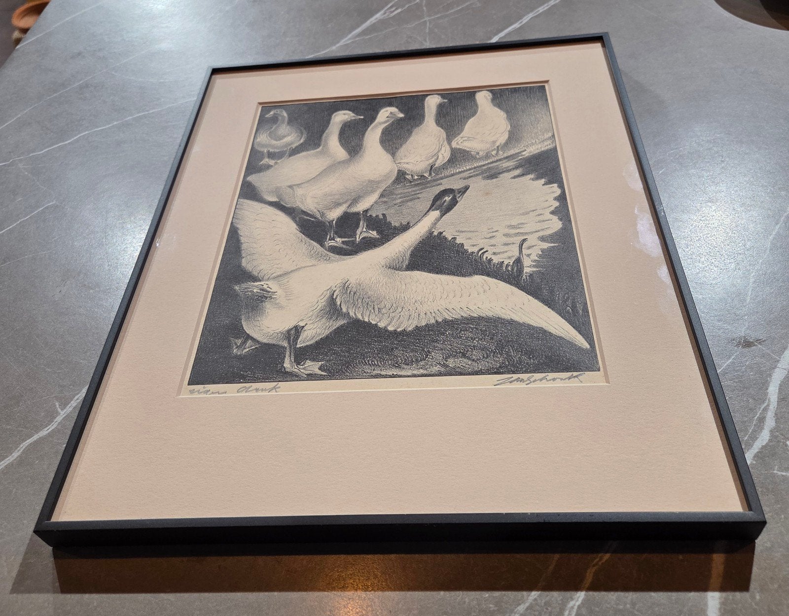 Jan Schonk - Ganzen - Mooi ingelijst in museumglas, Antiek en Kunst, Ets, Flora en Fauna, 1900 - 1949, Ingelijst