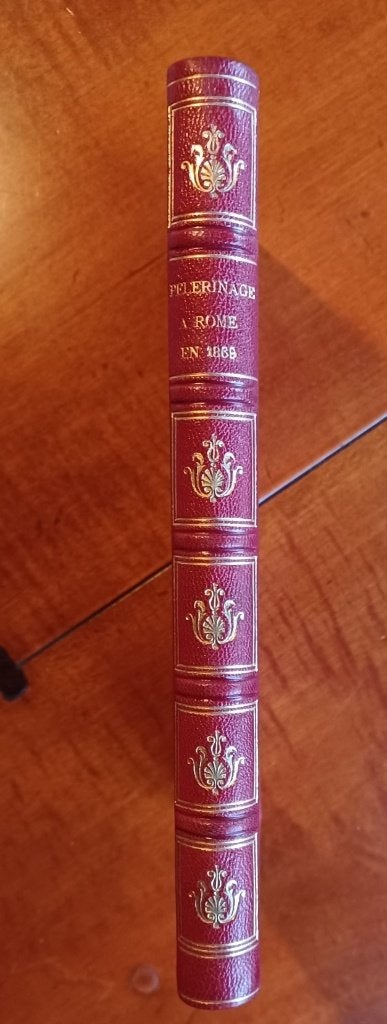Fleury - Pèlerinage à Romey, Ophalen of Verzenden, Gelezen
