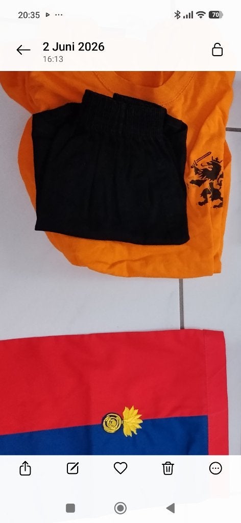 Shirt oranje met holland leeuw en gratis korte br zwart, Maat M, Ophalen of Verzenden, Gebruikt, Shirt