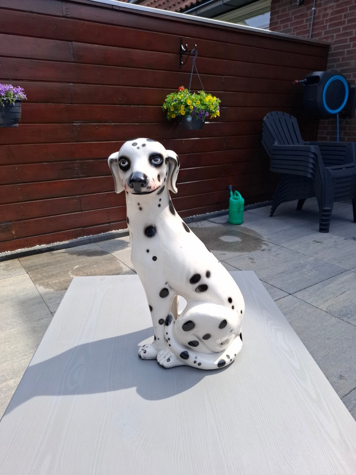 Prachtige grote beeld van een dalmatier., Verzamelen, Ophalen, Zo goed als nieuw, Mens