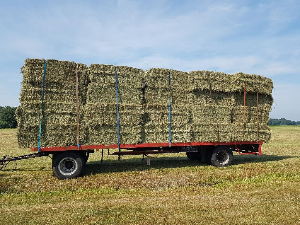 Te koop: mooie grote pakken strooisel hooi, Ophalen, Vee