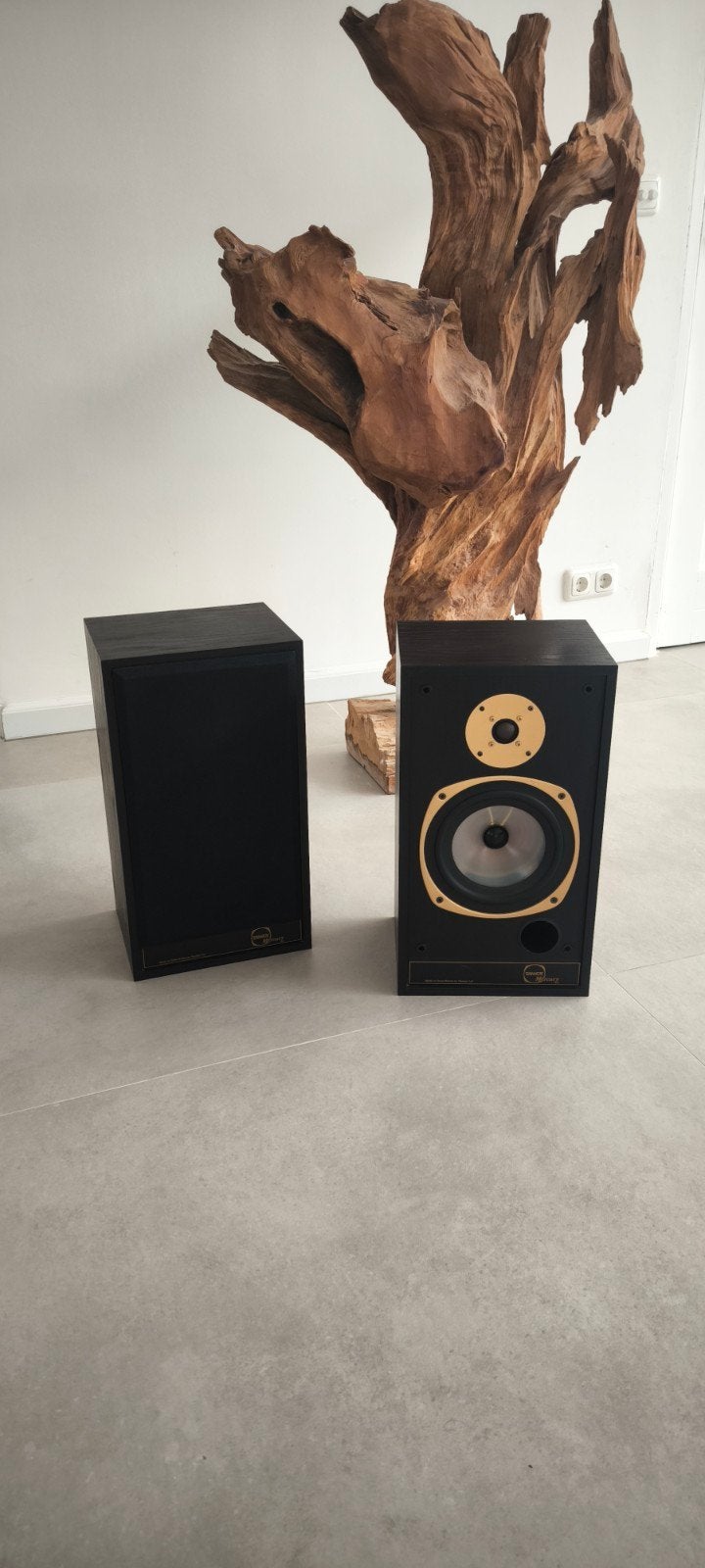 Tannoy M20 Gold (lees.., Audio, Tv en Foto, Luidsprekers, Ophalen, 120 watt of meer, Front, Rear of Stereo speakers, Overige merken