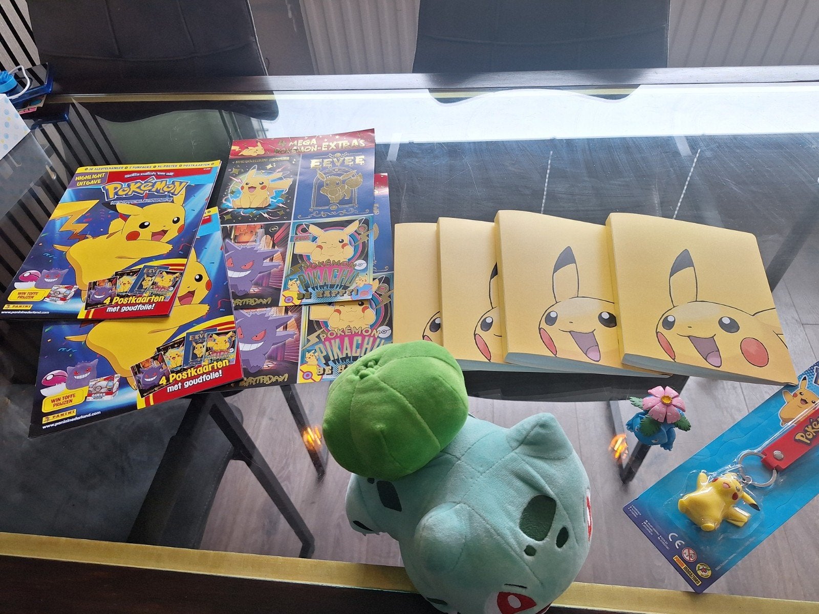 Pokemon spullen, Ophalen of Verzenden, Zo goed als nieuw, Overige typen