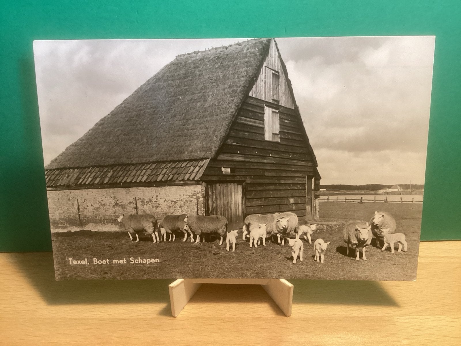 Texel, Boet met Schapen - 504, Ophalen of Verzenden, 1940 tot 1960, Ongelopen, Waddeneilanden
