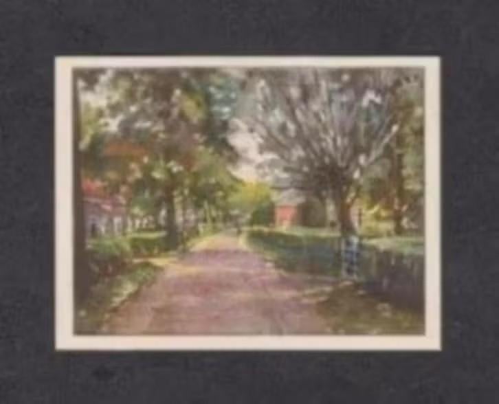 Albumplaatje Nijeveen Dorpsbeeld Drenthe (19)., Ophalen of Verzenden, Zo goed als nieuw