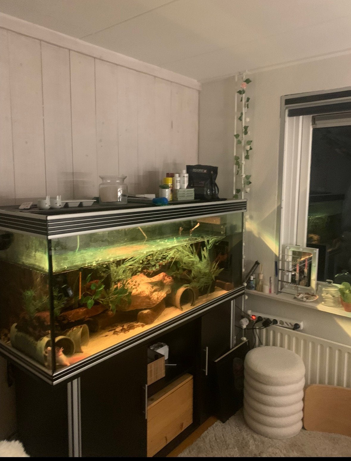 Groot trofis aquarium, Ophalen, Gebruikt, Leeg aquarium
