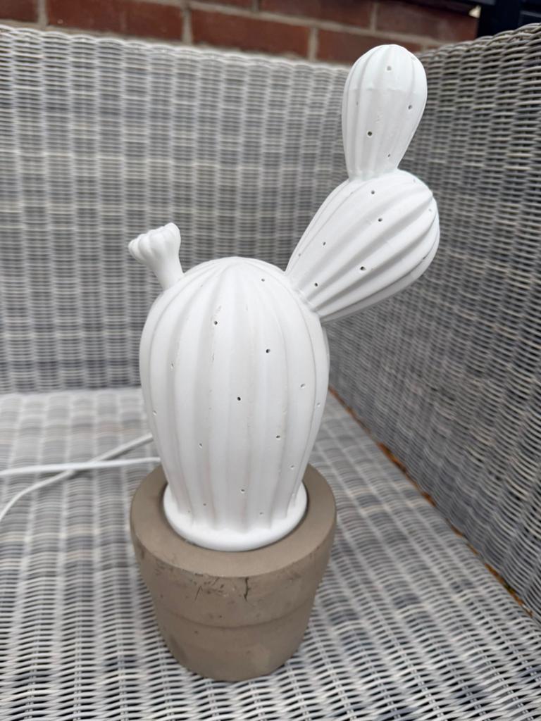 Leuke cactus lamp - sfeervolle verlichting, Ophalen of Verzenden, Zo goed als nieuw, Lamp
