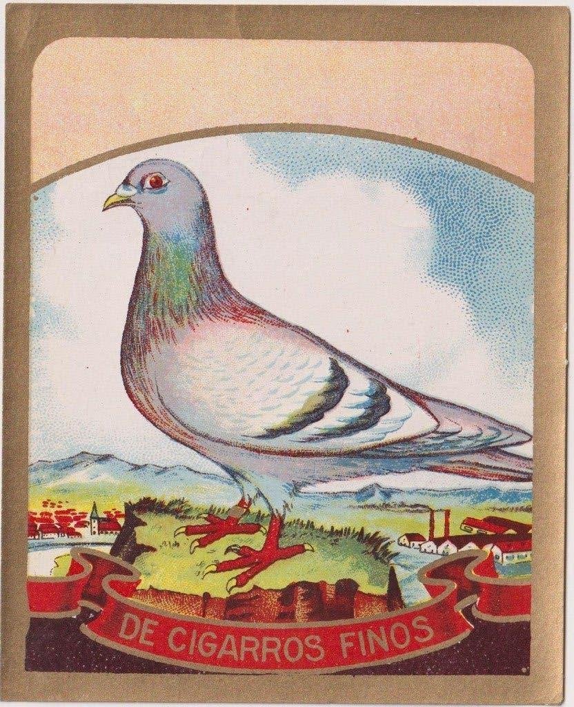 sigarenbanden - etiket - DE CIGARROS FINOS, Ophalen of Verzenden, Zo goed als nieuw, Sigarenbandjes