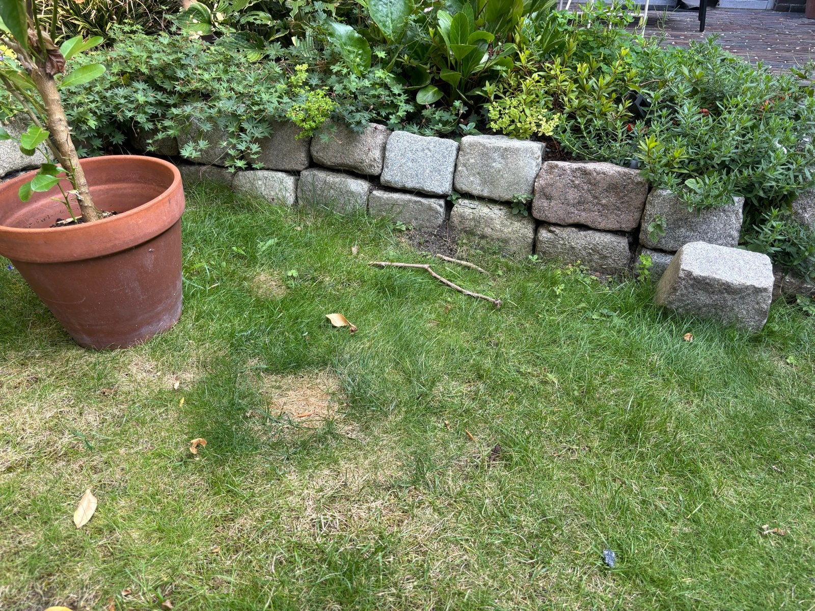 Natuurstenen keien +- 55 stuks, deze week ophalen, Ophalen, Gebruikt, Graniet, Kei