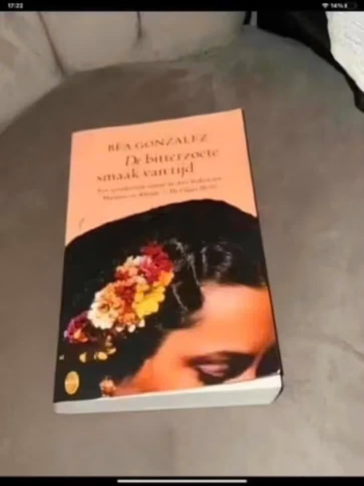 De bitterzoete smaak van tijd - Bea Gonzalez, Niet van toepassing, Ophalen of Verzenden, Algemeen, Bea Gonzalez
