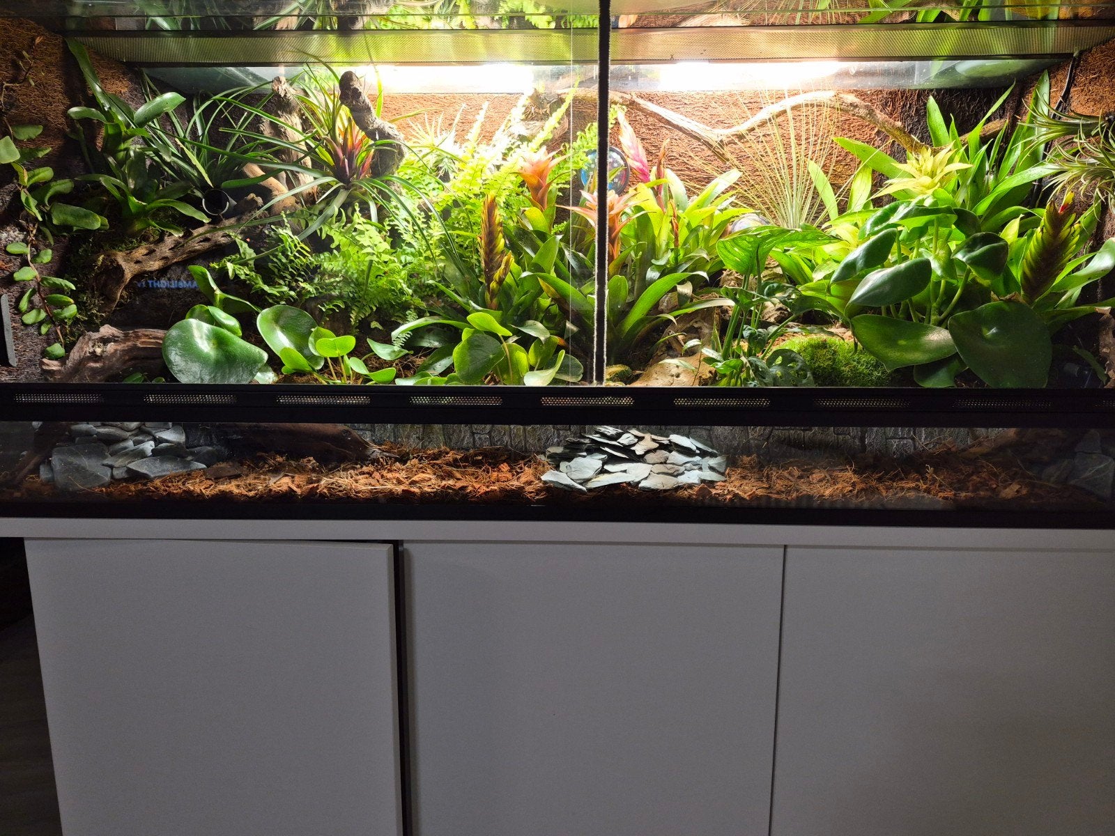 paludarium Terrarium, Ophalen, Zo goed als nieuw, Terrarium of Paludarium
