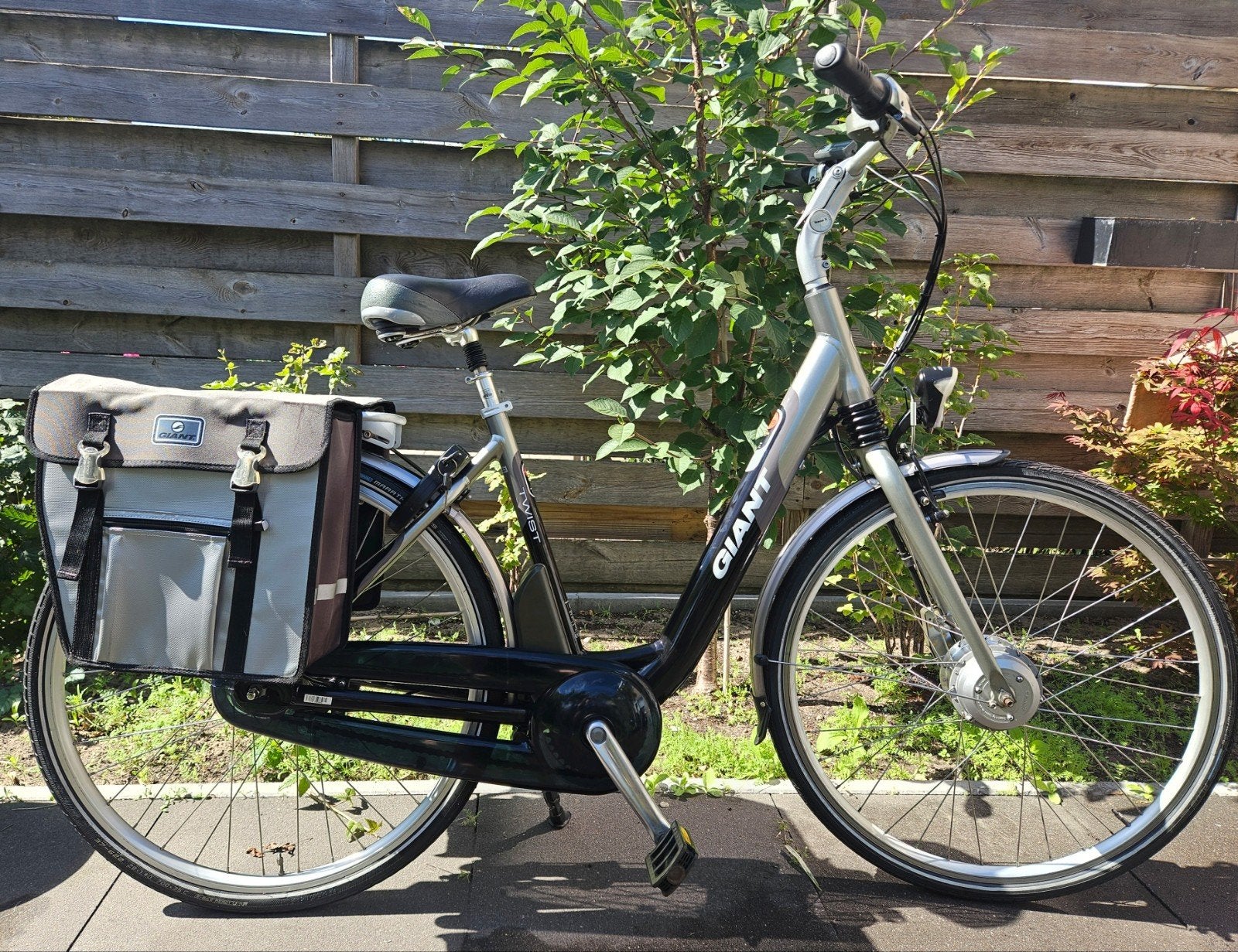 ZGAN Giant Twist Comfort elektrische Dames fiets met 2 accus, Fietsen en Brommers, Elektrische fietsen, Ophalen, Giant, Zo goed als nieuw