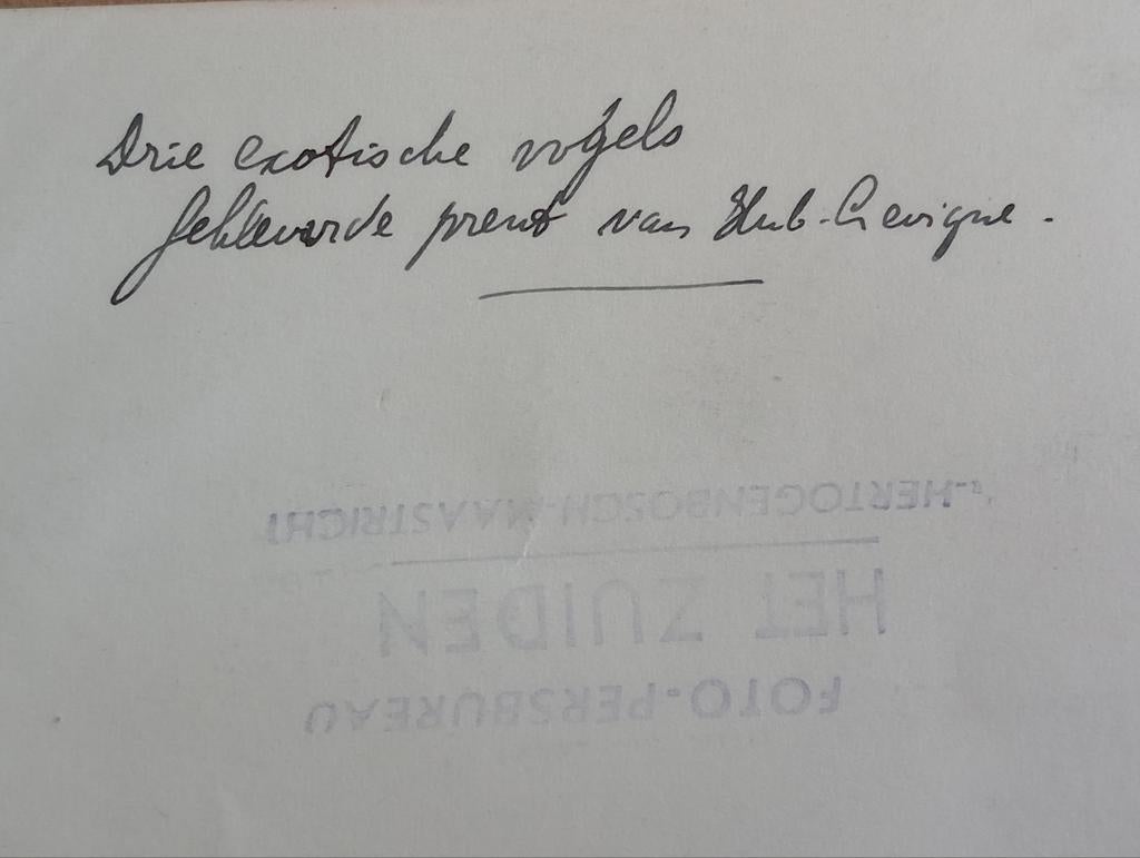 Hubert Levigne persfoto jaren 70, Antiek en Kunst, Ophalen of Verzenden