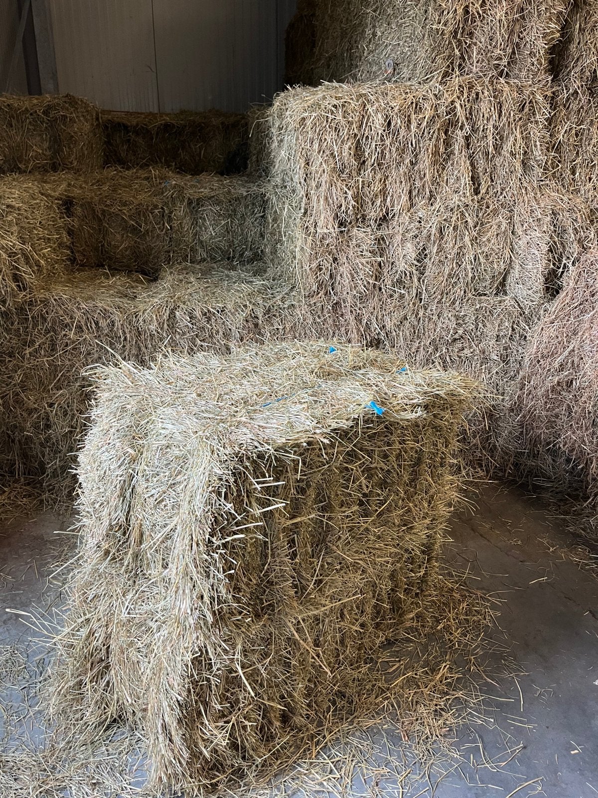 Pefect Paardenhooi., Ophalen, Overige soorten