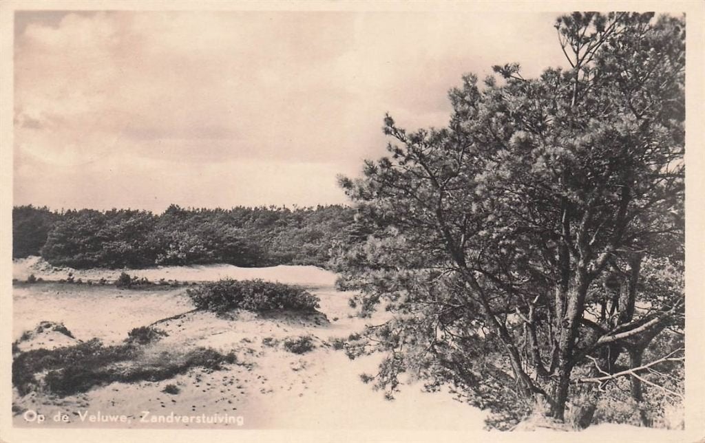 702-177-015 Op De Veluwe Zandverstuiving, Verzenden, Voor 1920, Gelderland