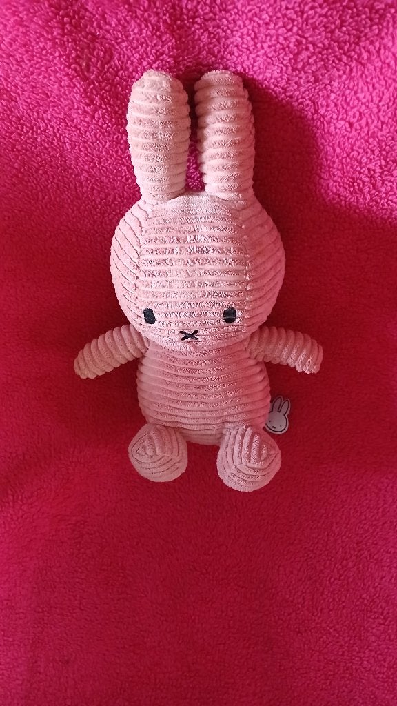 NIJNTJE KNUFFELS & ANDERE KNUFFELS, Kinderen en Baby's, Ophalen of Verzenden, Zo goed als nieuw, Overige typen