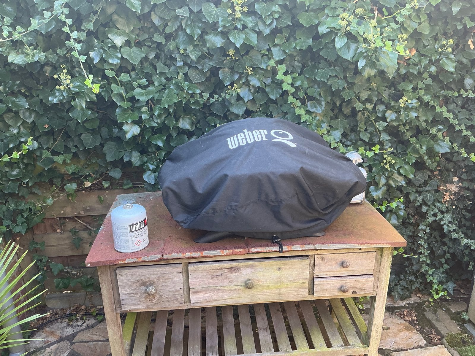 Weber Q1000 gasbarbecue met hoes en gasfles, Tuin en Terras, Ophalen, Zo goed als nieuw