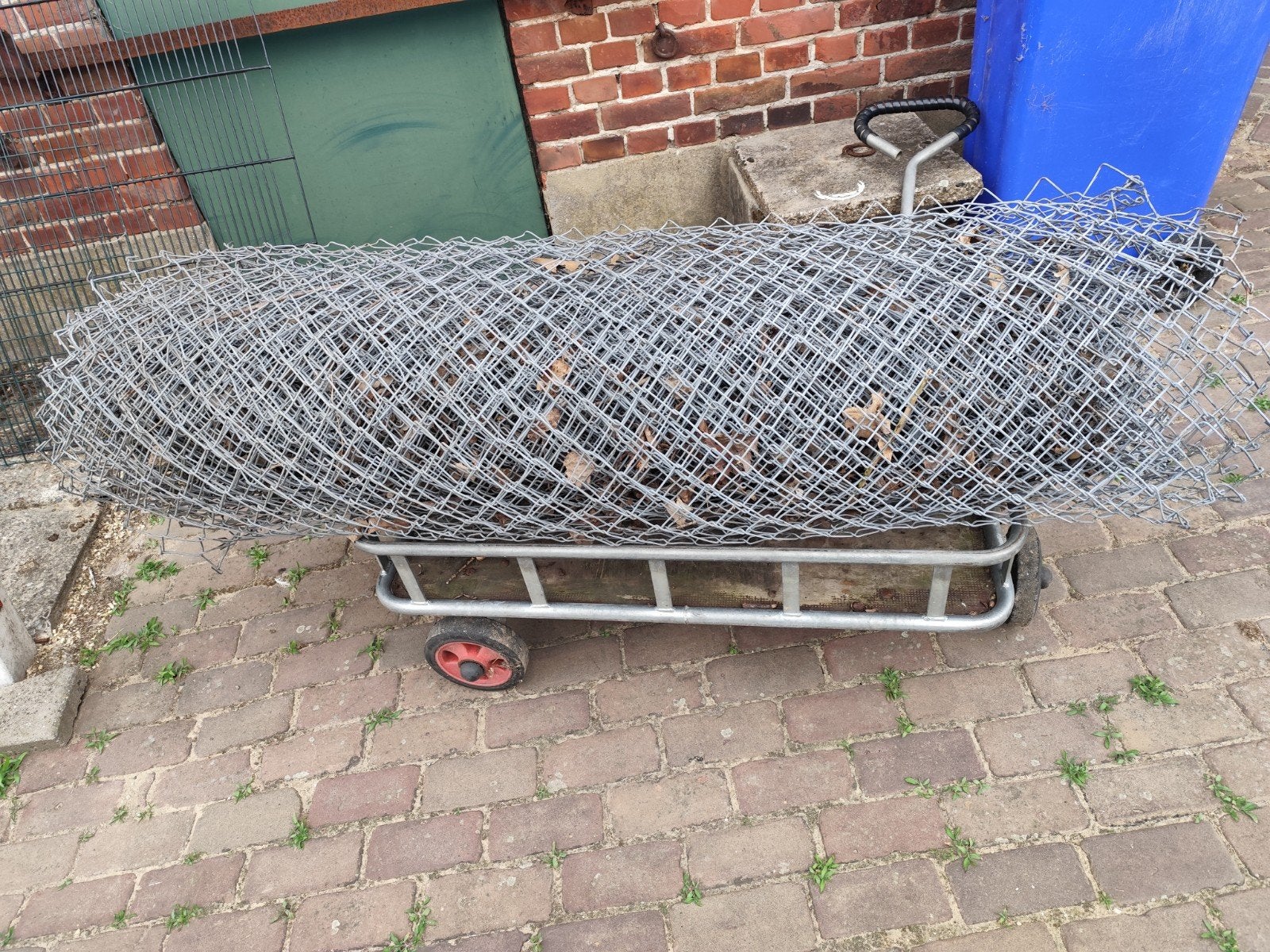 Gaas. Verschillende soorten /hoogte's, Dieren en Toebehoren, Stalling en Weidegang