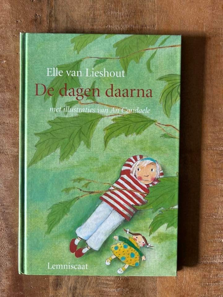 De dagen daarna - Elle van Lieshout - Rouwverwerking, Boeken, Ophalen of Verzenden, Gelezen, Fictie algemeen