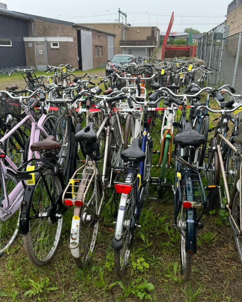 Partij oude fietsen (10–15 stuks), Ophalen, Gebruikt