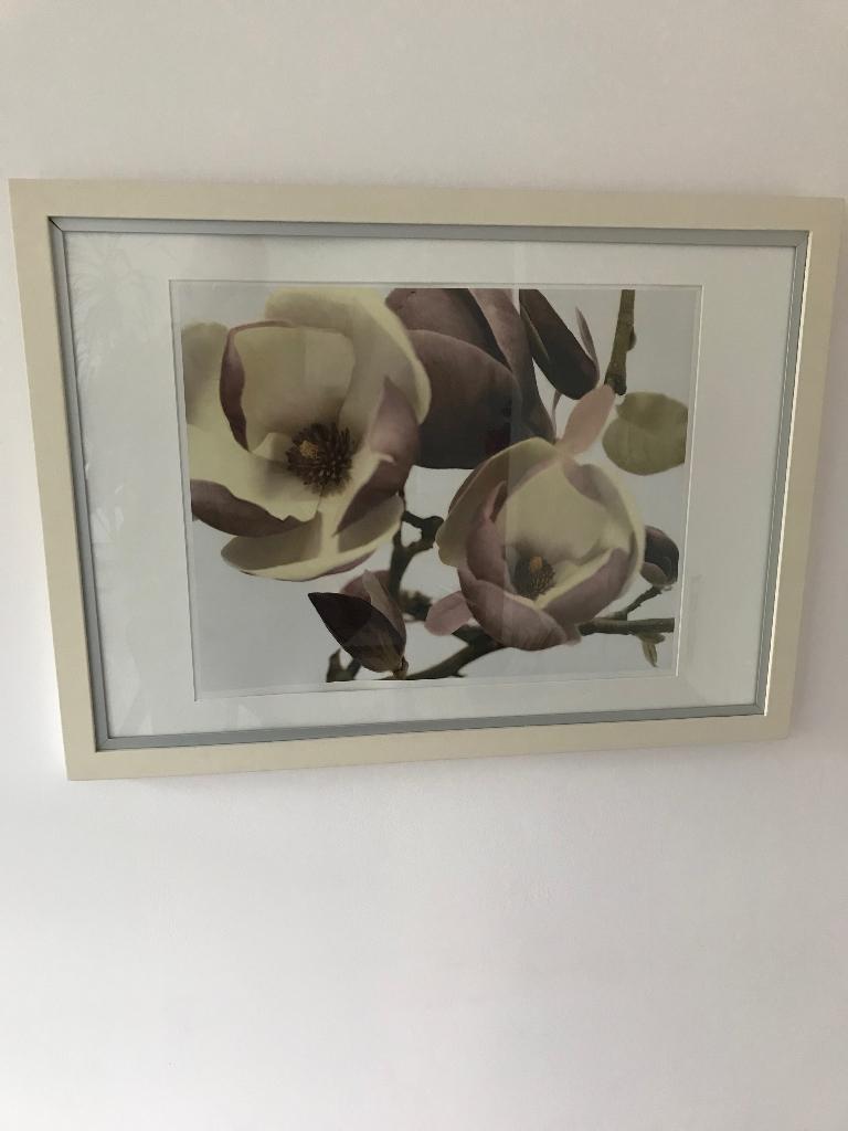 schilderij, 50 tot 75 cm, Ophalen of Verzenden, Zo goed als nieuw, Schilderij