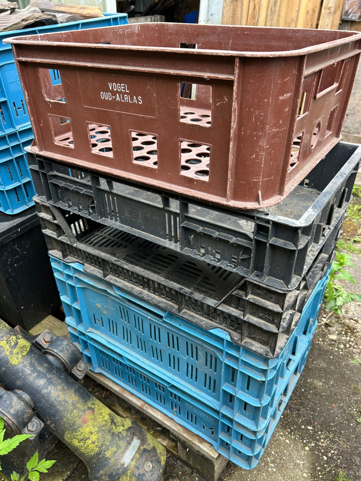 Transport kratten, Ophalen, Gebruikt, 50 tot 75 cm, Minder dan 35 cm