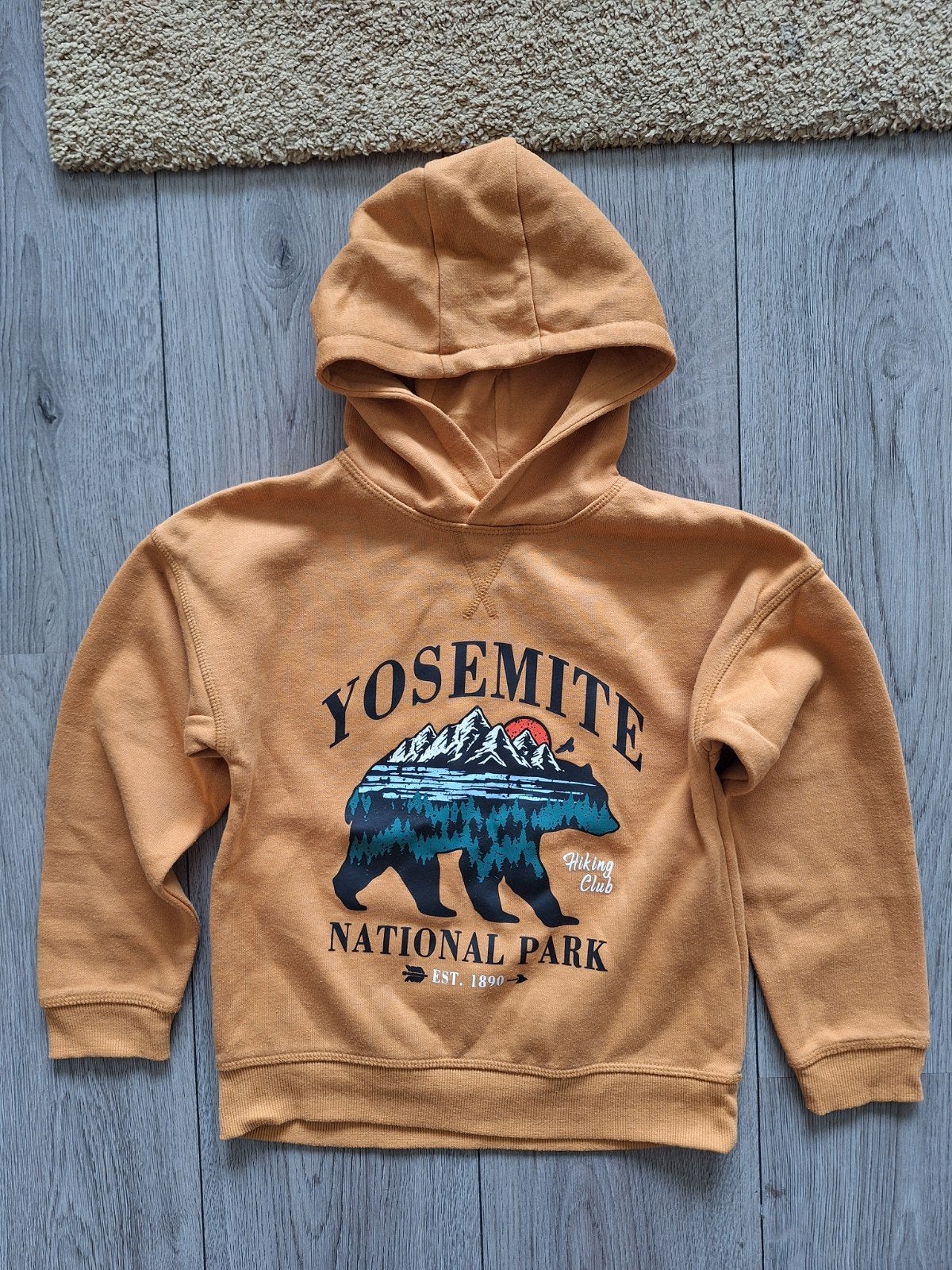 Hoodie maat 128 Primark, Gebruikt, Trui of Vest, Ophalen of Verzenden, Primark